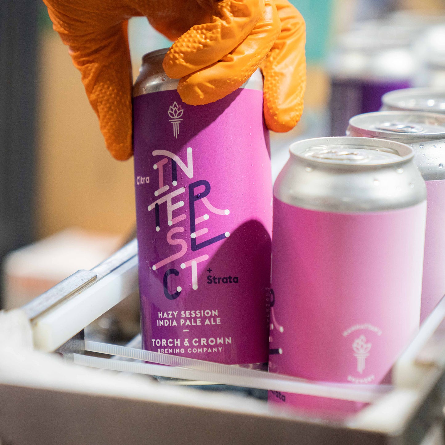 Intersect Session IPA | Torch and Crown Brewing Company